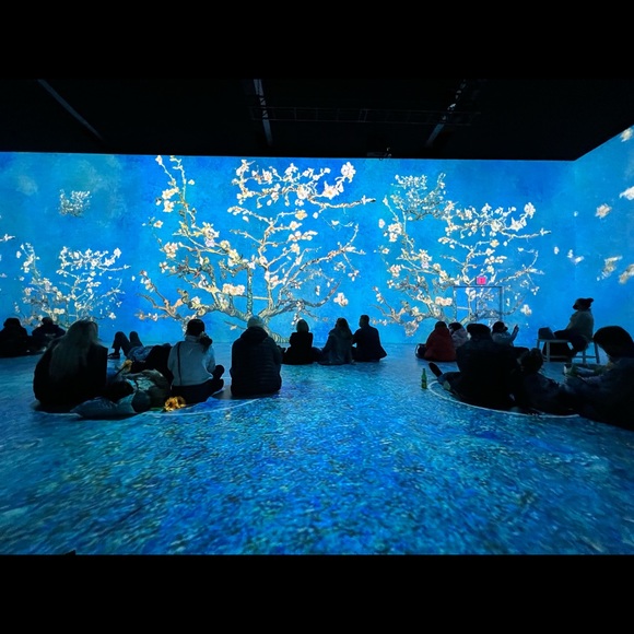 Meet your Posher, Diana. Welcome to my closet! - Picture 8 of 15